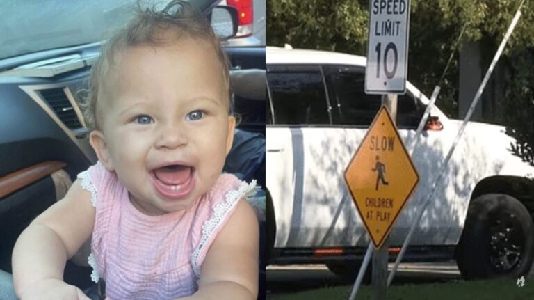 Bebê e cachorro morrem após serem deixados em carro por 6 horas
