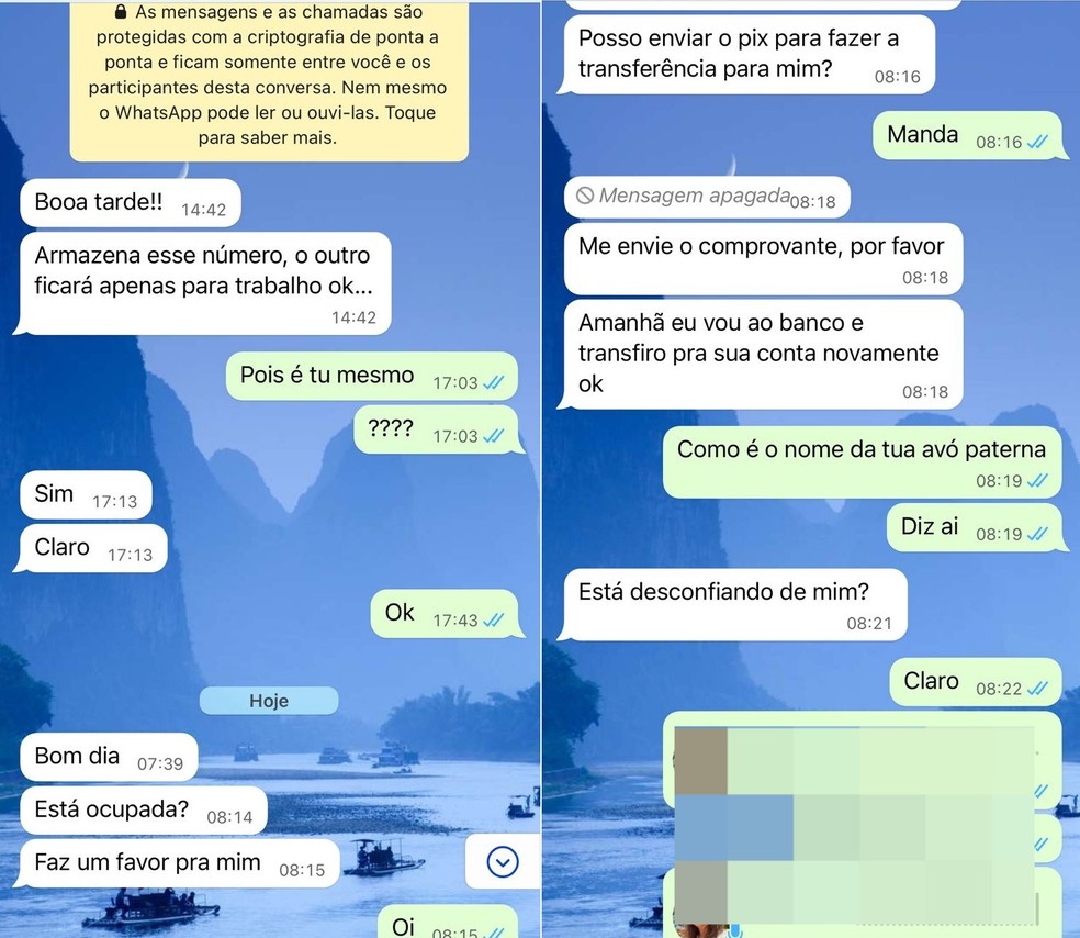 Mulher faz 'quiz' com bandido e escapa de golpe do Pix pelo WhasApp — Foto: Arquivo pessoal