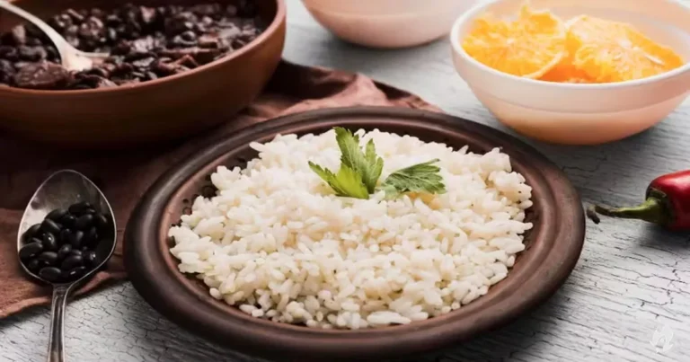 Animal ou vegetal? Nutricionista explica mitos e verdades sobre alimentação