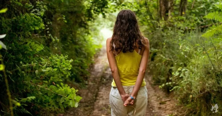 Já ouviu falar em ‘banho de floresta’? Conheça os benefícios dessa prática japonesa