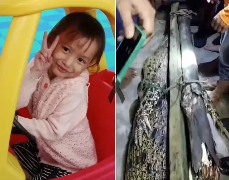 Menina de 5 anos perde a vida após ser devorada por crocodilo na frente dos pais