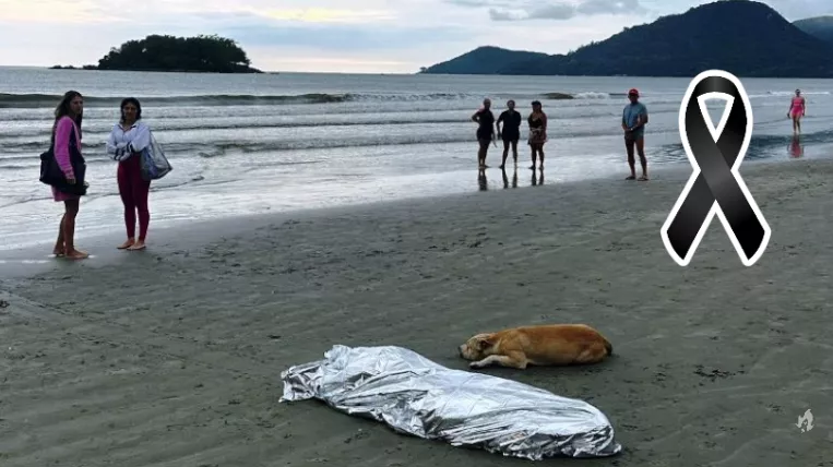 Cachorro fica ao lado do dono morto afogado em SC e comove a internet
