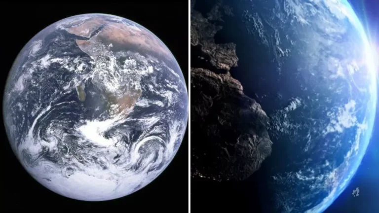 Vida inteligente na Terra não é somente acaso, indicam cientistas