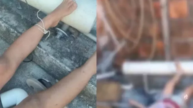 Crueldade! Casal é preso por tortura após polícia achar menina de 4 anos amarrada no quintal