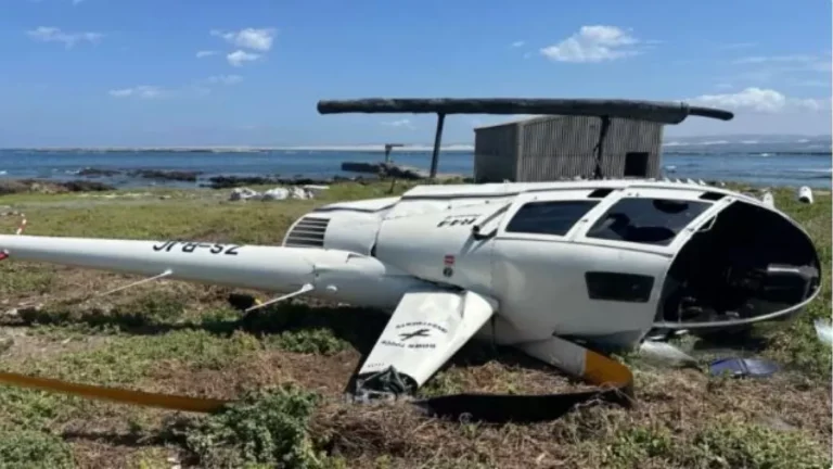 Caixa com pinguim fez helicóptero cair na África do Sul, diz relatório