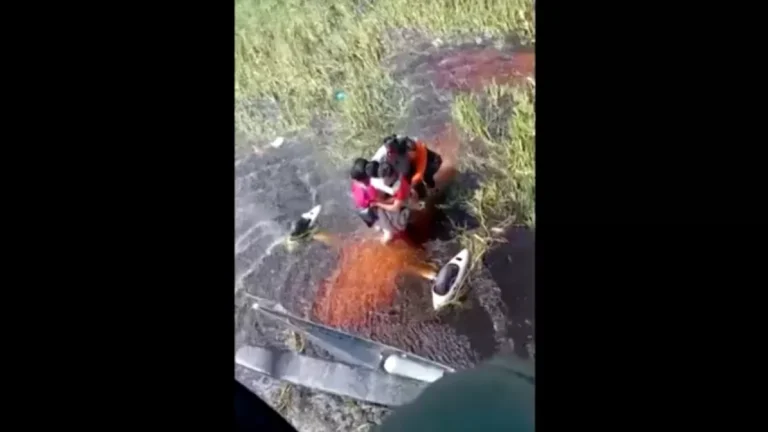 O resgate de passageiros após pouso de emergência em área com jacarés na Amazônia