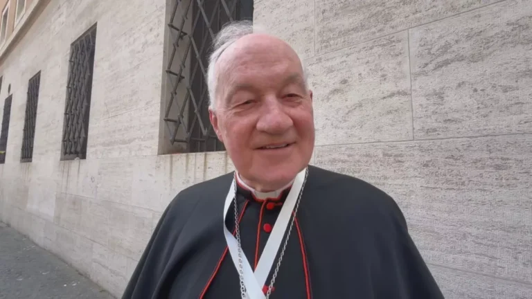 “É uma grande liberdade”, diz cardeal à CNN sobre reclusão para conclave