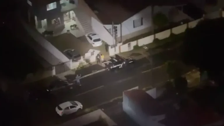 Vídeo: dez pessoas são presas por 12 roubos de carga na BR-116, no PR