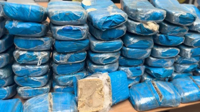 Polícia apreende mais de 200 quilos de cocaína em Manaus