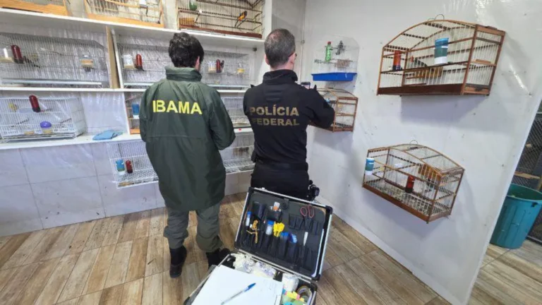 Cinco são presos durante operação contra tráfico internacional de animais