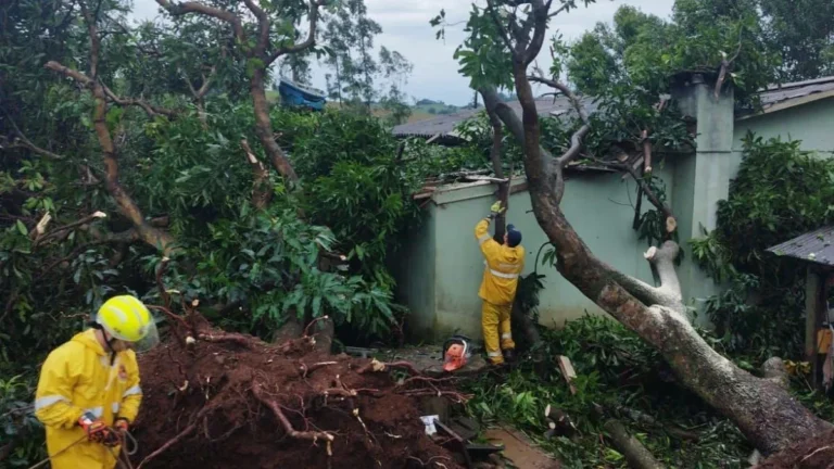 Temporal em SC causa duas mortes e afeta mais de 388 mil pessoas