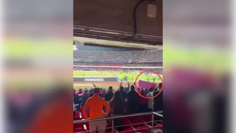 Veja momento em que placa de ferro cai na cabeça de torcedor no Morumbis