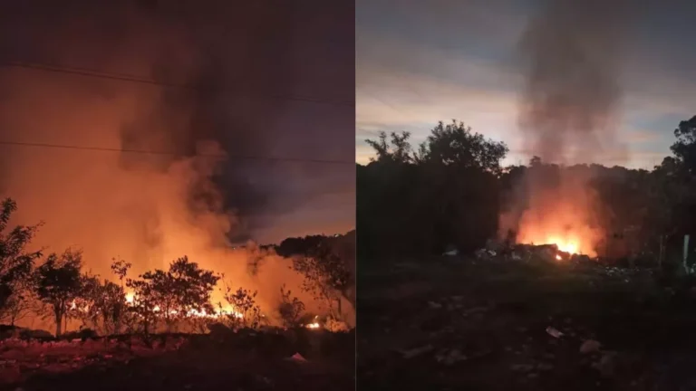 SP: Incêndios florestais de grandes proporções atingem cidades do interior