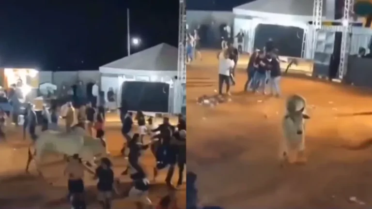 Vídeo: Touro escapa de curral e assusta público durante rodeio em Goiás