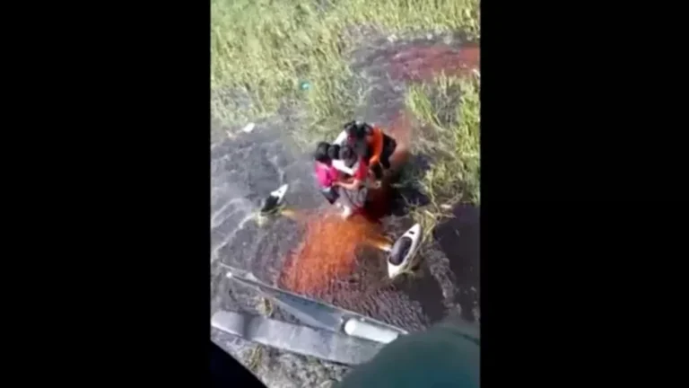 O resgate de passageiros após pouso de emergência em área com jacarés na Amazônia
