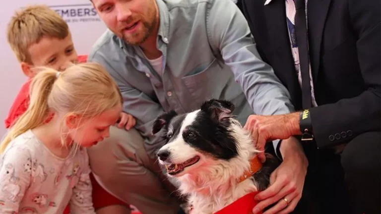 Vencedor da Palma Canina é escolhido em Cannes; conheça o cachorro premiado