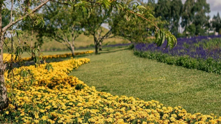 Inverno com recorde de frio se despede para chegada da primavera