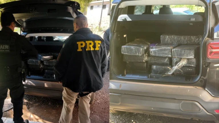 Polícia prende cinco pessoas e 252kg de maconha durante operação em SC