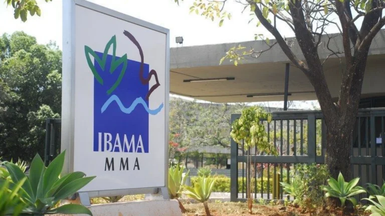 Análise: licença do Ibama mina esforço de negociadores na COP30