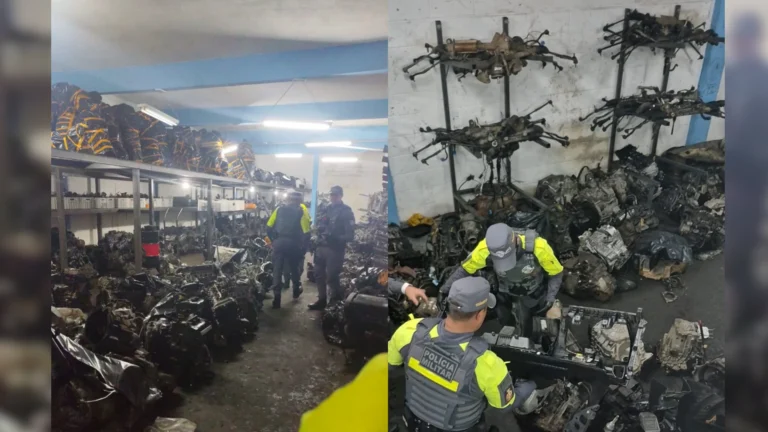 SP: 14 pessoas são presas em desmanches ligados a roubo de carros
