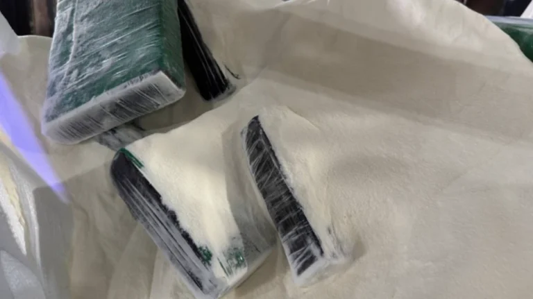 PF apreende 405 kg de cocaína em carga de colágeno no Porto de Santos