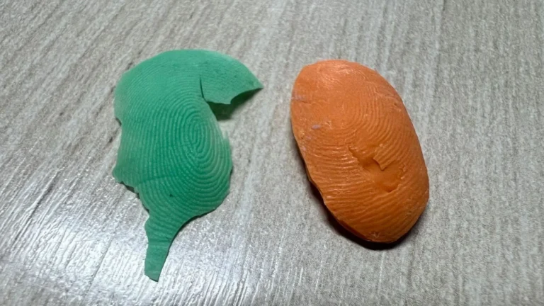 Polícia prende servidores da saúde por fraude em ponto eletrônico em SC