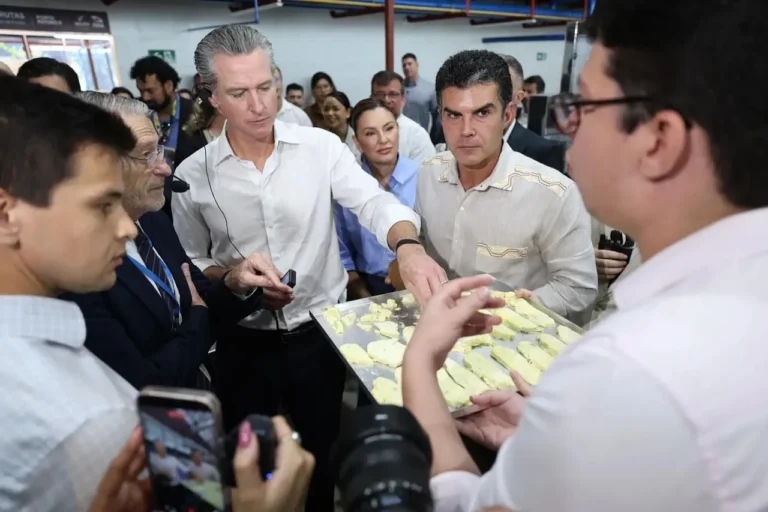 Pará fecha acordo com “Vale do Silício” por cooperação em bioeconomia