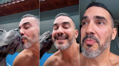 André Marques chora ao falar sobre cachorras: 