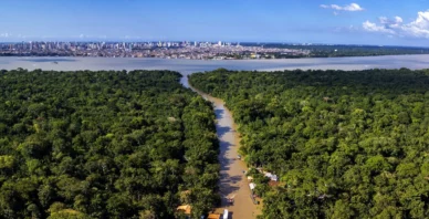 Amazônia tem mais de 16 mil processos por desmatamento em aberto