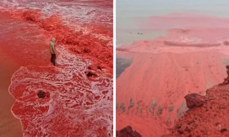 Vídeo: Mar fica vermelho no Irã e internautas lembram profecia bíblica