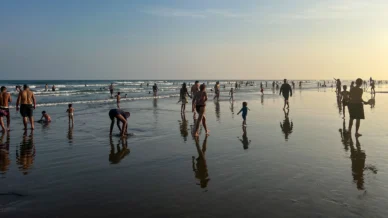 86% das praias do litoral de SP estão próprias para banho, aponta boletim
