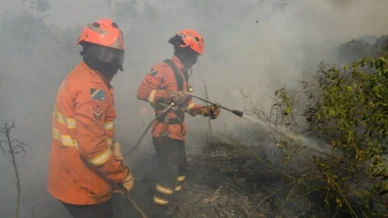 Focos de incêndios no Pantanal aumentaram 164% em janeiro; entenda