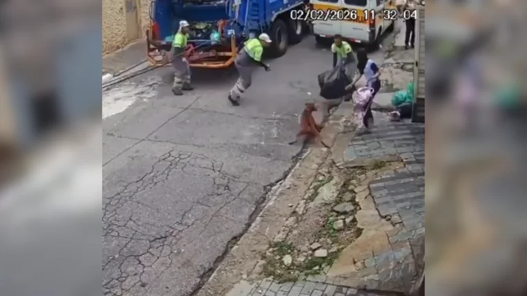 Vídeo: Pitbull escapa de casa e ataca garis na zona sul de São Paulo