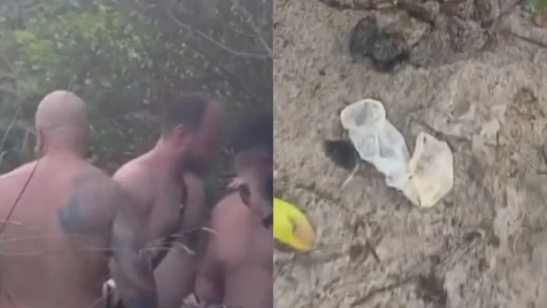 Orgias em série estão danificando trilhas de praia em Florianópolis