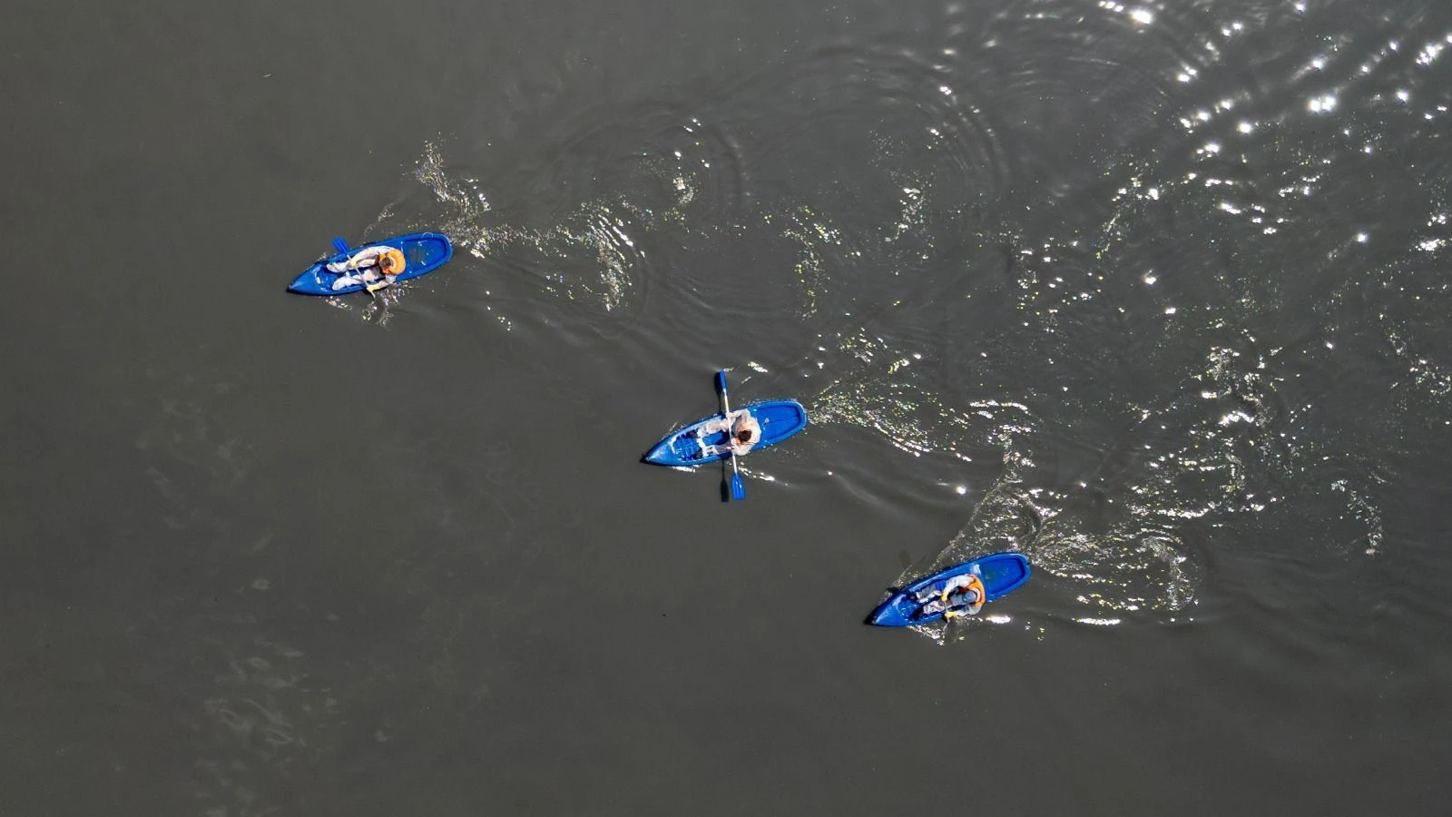 Quase 80% dos rios da Mata Atlântica apresentam água regular ou pior