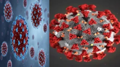 Nova variante da Covid-19 se espalha pelo mundo e levanta alerta, entenda