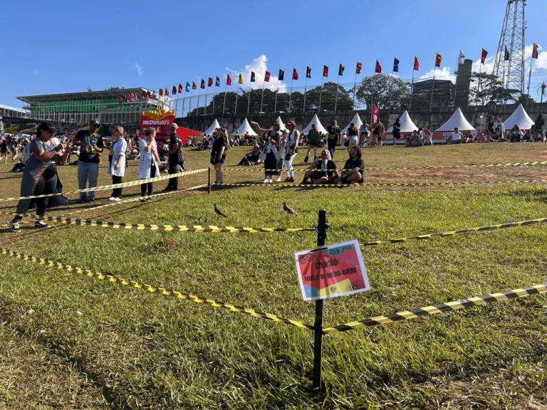 Lollapalooza isola família de quero-quero no gramado; veja fotos