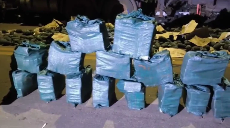 PF intercepta caminhão com drogas escondidas entre abacaxis no Tocantins