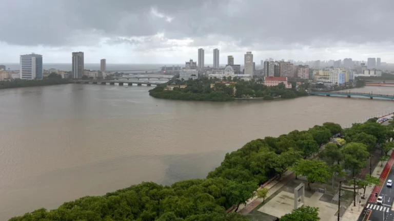 Recife é condenado a pagar danos após galho atingir carro em rua da capital