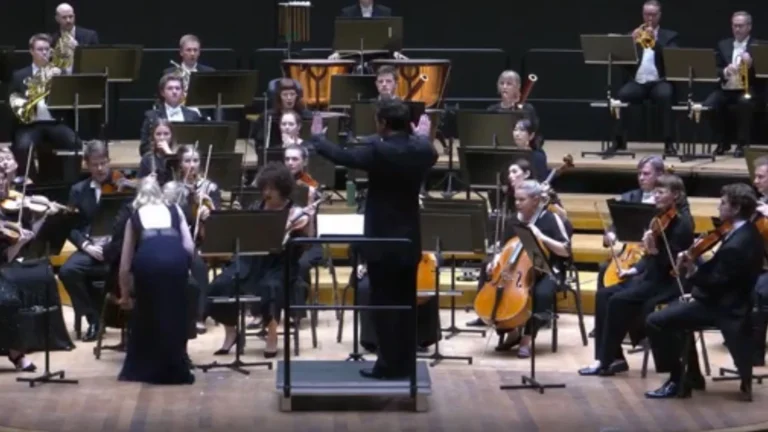 Maestro derruba violino de R$ 5,8 milhões em concerto, diz site