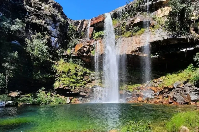 Criança atacada por onça-parda na Chapada terá de passar por cirurgia