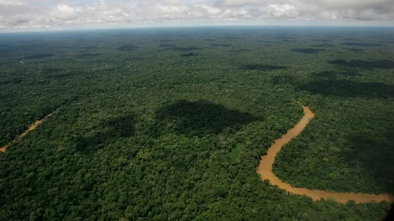 STF cobra plano da União para retirar invasores de terra indígena no Pará