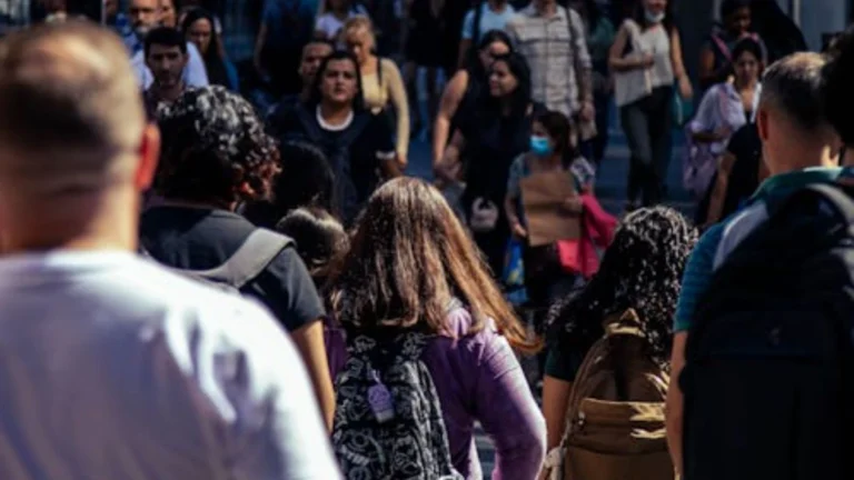 As bolsas e os bolsos – transferência de renda é investimento em saúde