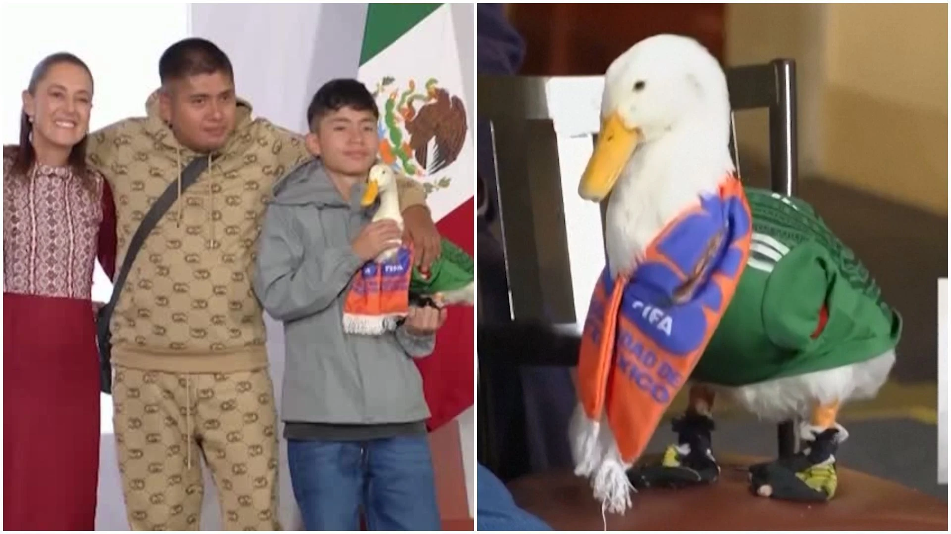 Vídeo: Símbolo da Copa, pato Merlin é recebido pela presidente do México