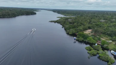 Mais de 30 grupos criminosos disputam controle da Amazônia, diz estudo