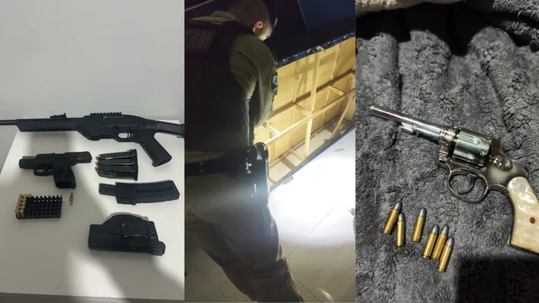 PR: Polícia mira grupo que furtou mais de 2 mil cabeças de gado desde 2019