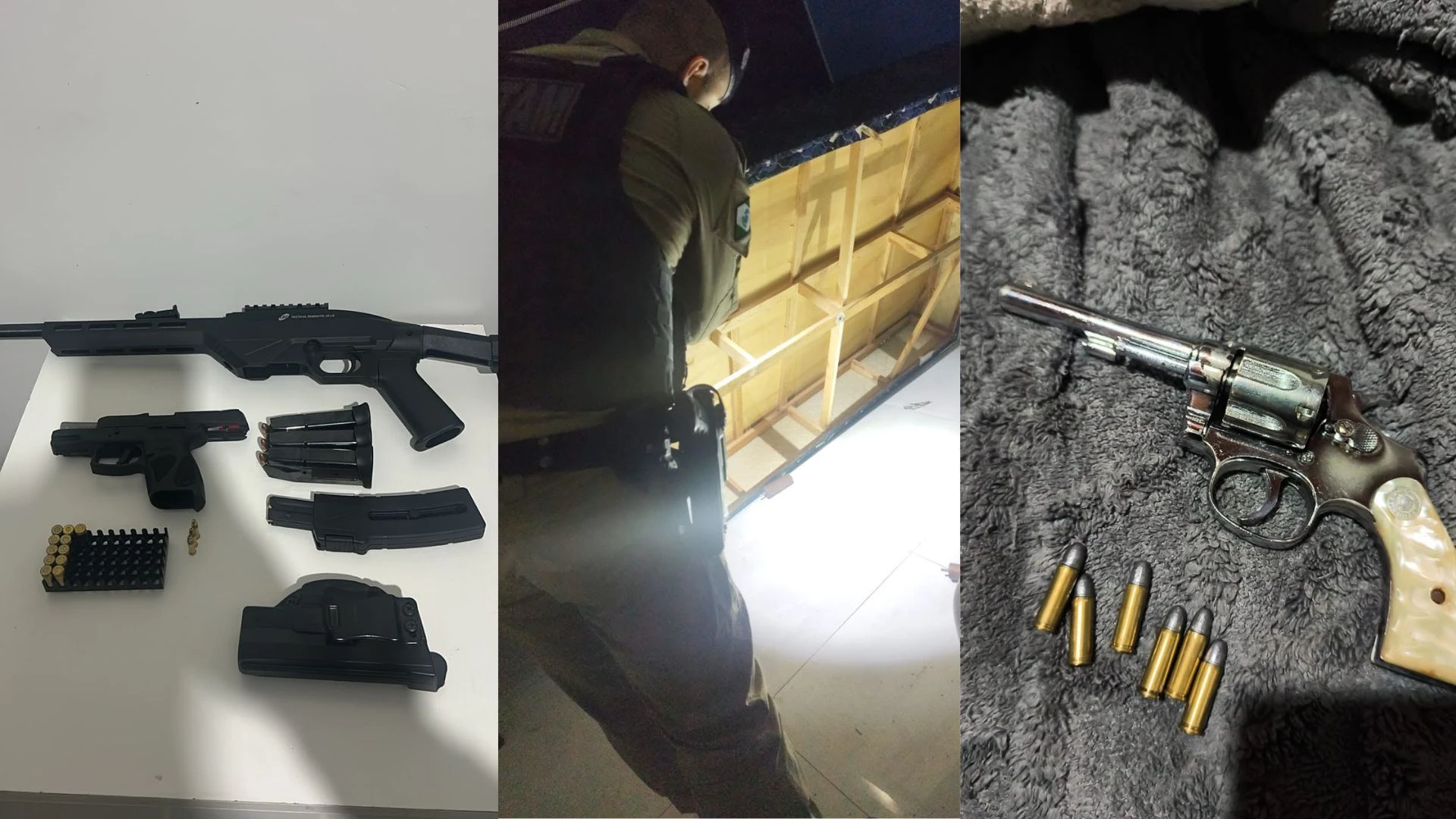 PR: Polícia mira grupo que furtou mais de 2 mil cabeças de gado desde 2019