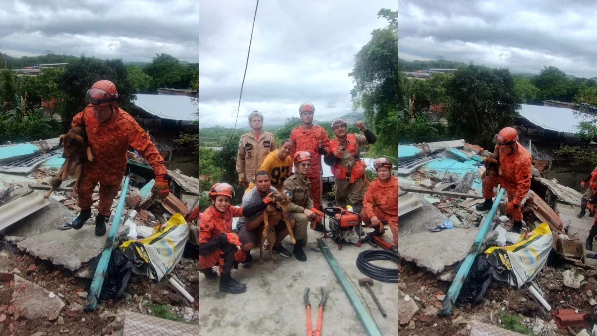 Bombeiros resgatam cachorro preso em destroços em Niterói