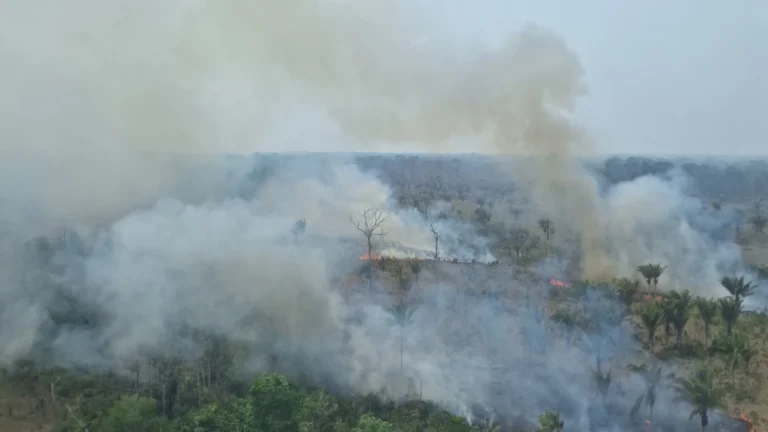 PF investiga possíveis incêndios criminosos no Amazonas