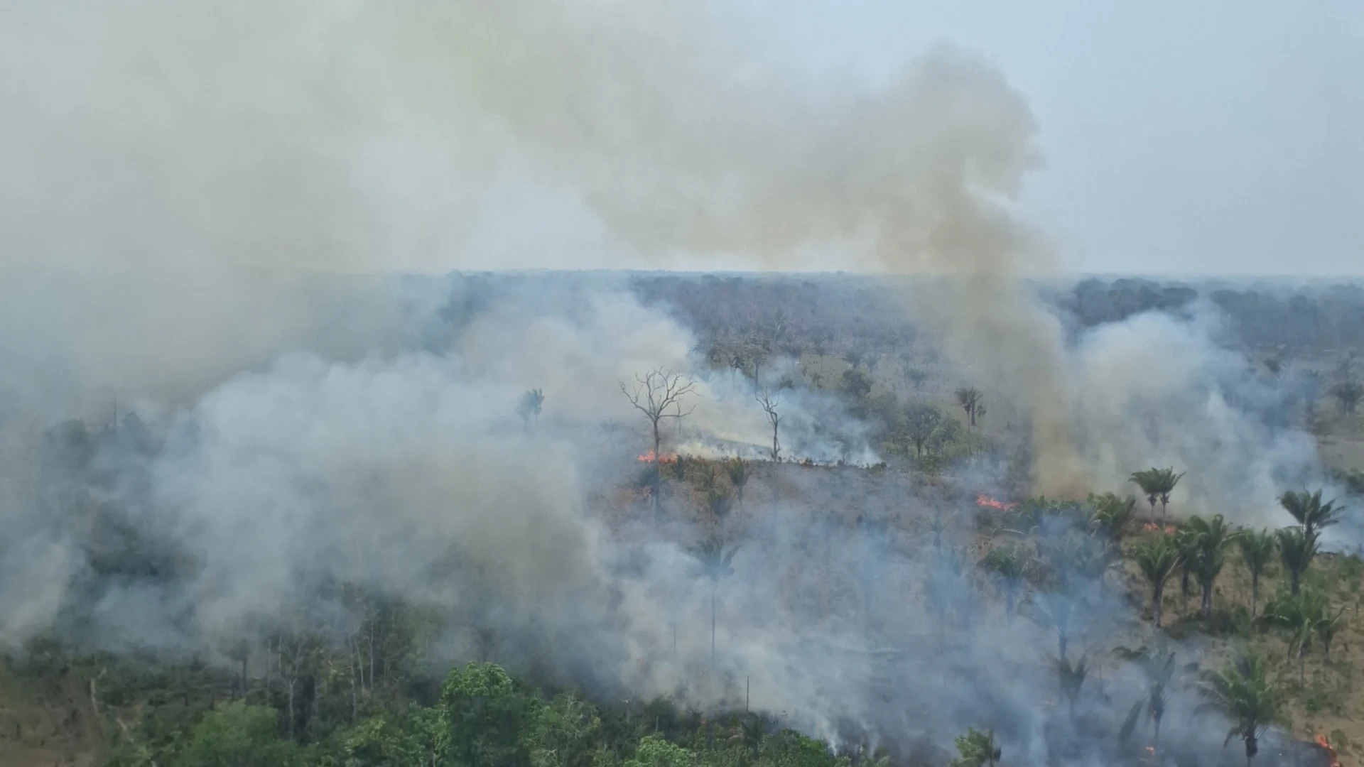 PF investiga possíveis incêndios criminosos no Amazonas